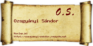 Ozsgyányi Sándor névjegykártya